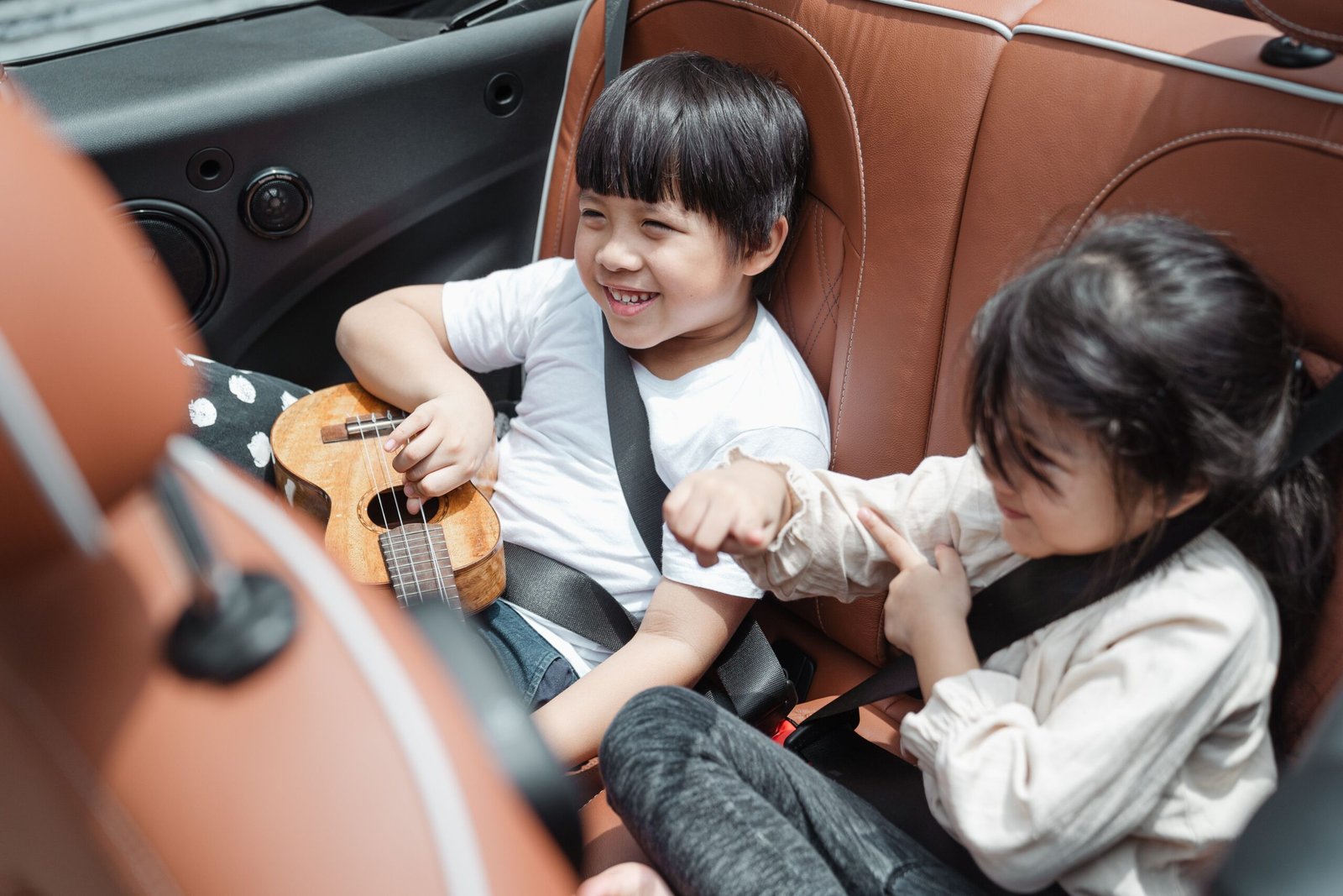 Teddy bear buckled into a car seatbelt